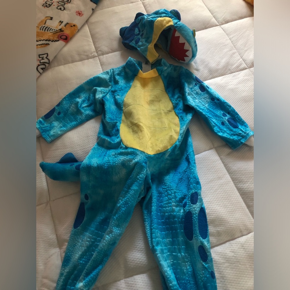 Kids Dinosaur Costume
